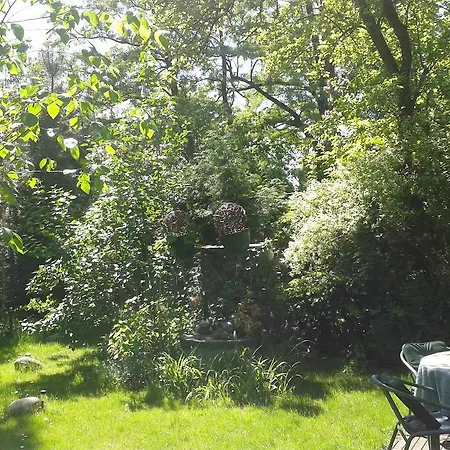 Hostel Akacja Goscinne *