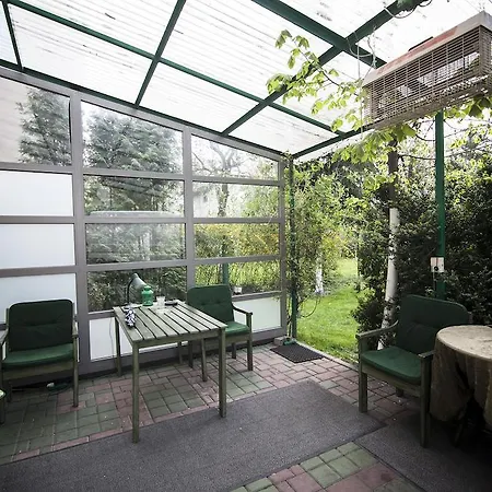 Akacja Goscinne * Krakow