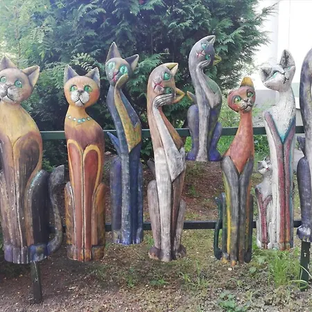 Akacja Goscinne * Cracovie