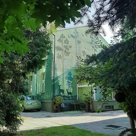 Akacja Goscinne * Krakkó