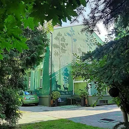 Akacja Goscinne Krakkó