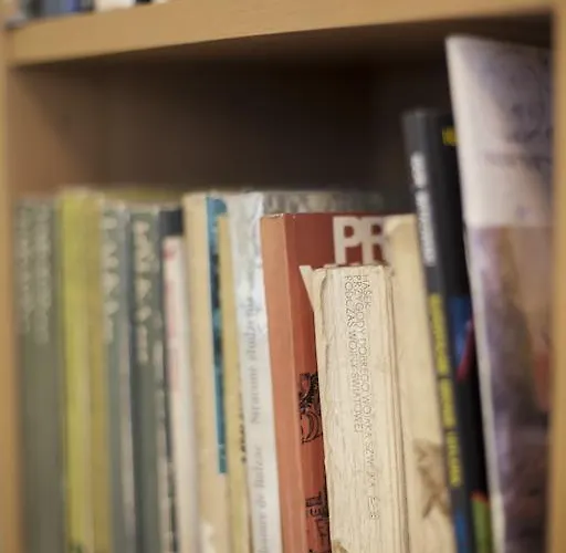 Vandrerhjem Akacja Goscinne *