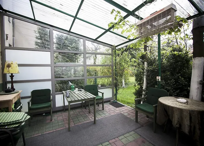 Akacja Goscinne * Kraków